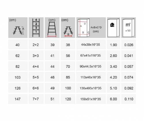 Kanat Aluminum Twin Ladder