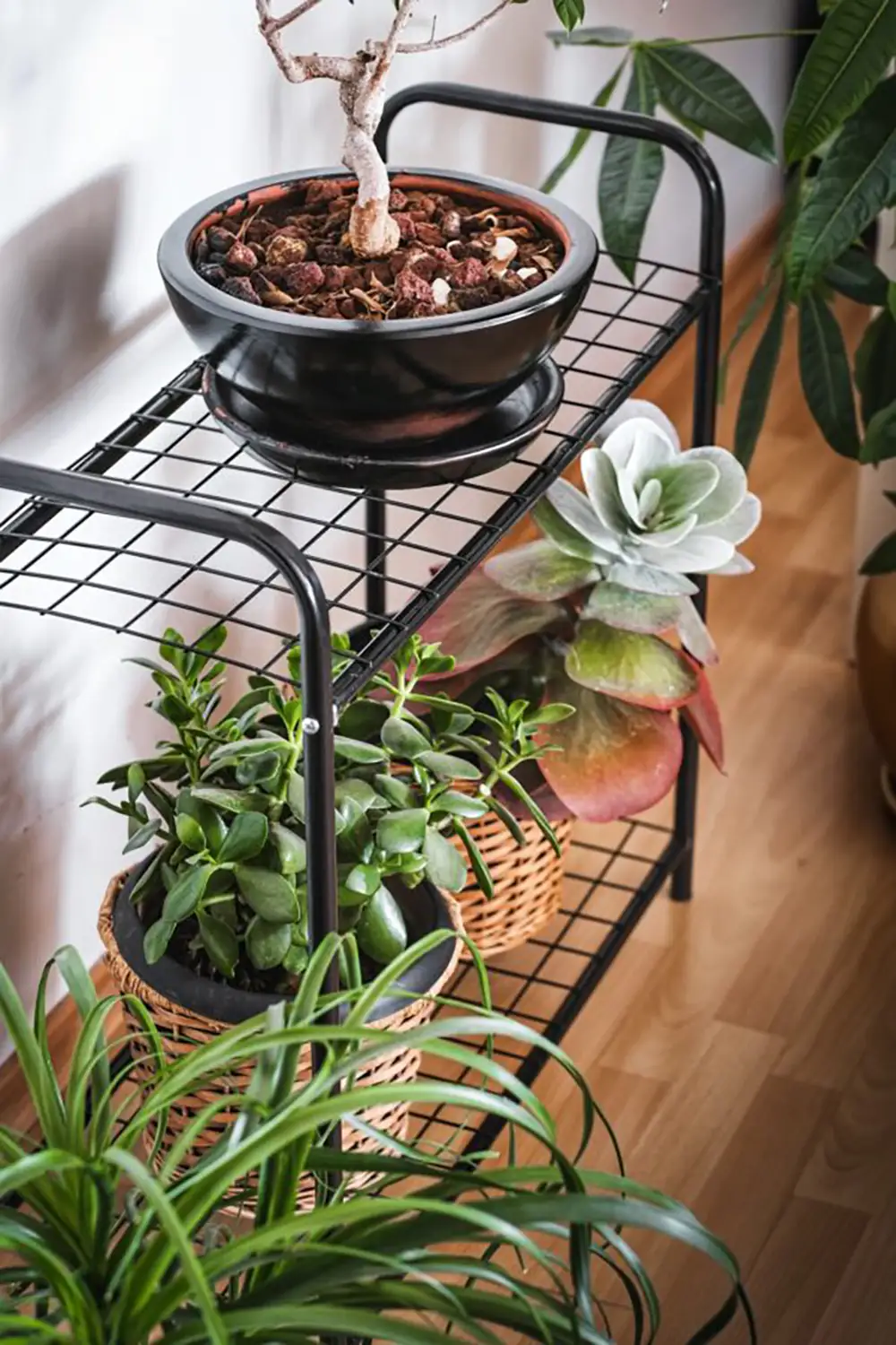 Oval Designed Metal Flower Pot Holder (2 Shelves) - Thumbnail