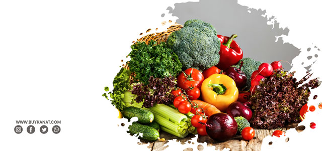 Plastic Vegetable Rack: Indispensable In The Summer Months!