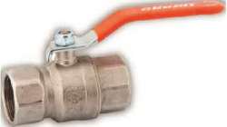 Spring - Valve Orbiculaire 1