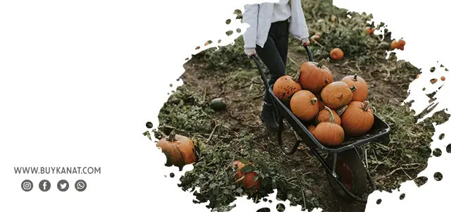 Bahçe İşlerini Kolaylaştıran El Arabası Modelleri