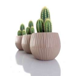 Violet House - 130 Cc Bamboo Cactus Flower Pot Violet House - 130 Cc Bamboo Cactus Flower Pot