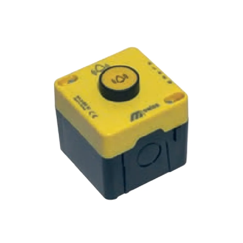 Mutlusan - Box Mounted Button With Label In Hoist (1NO)(1Button)