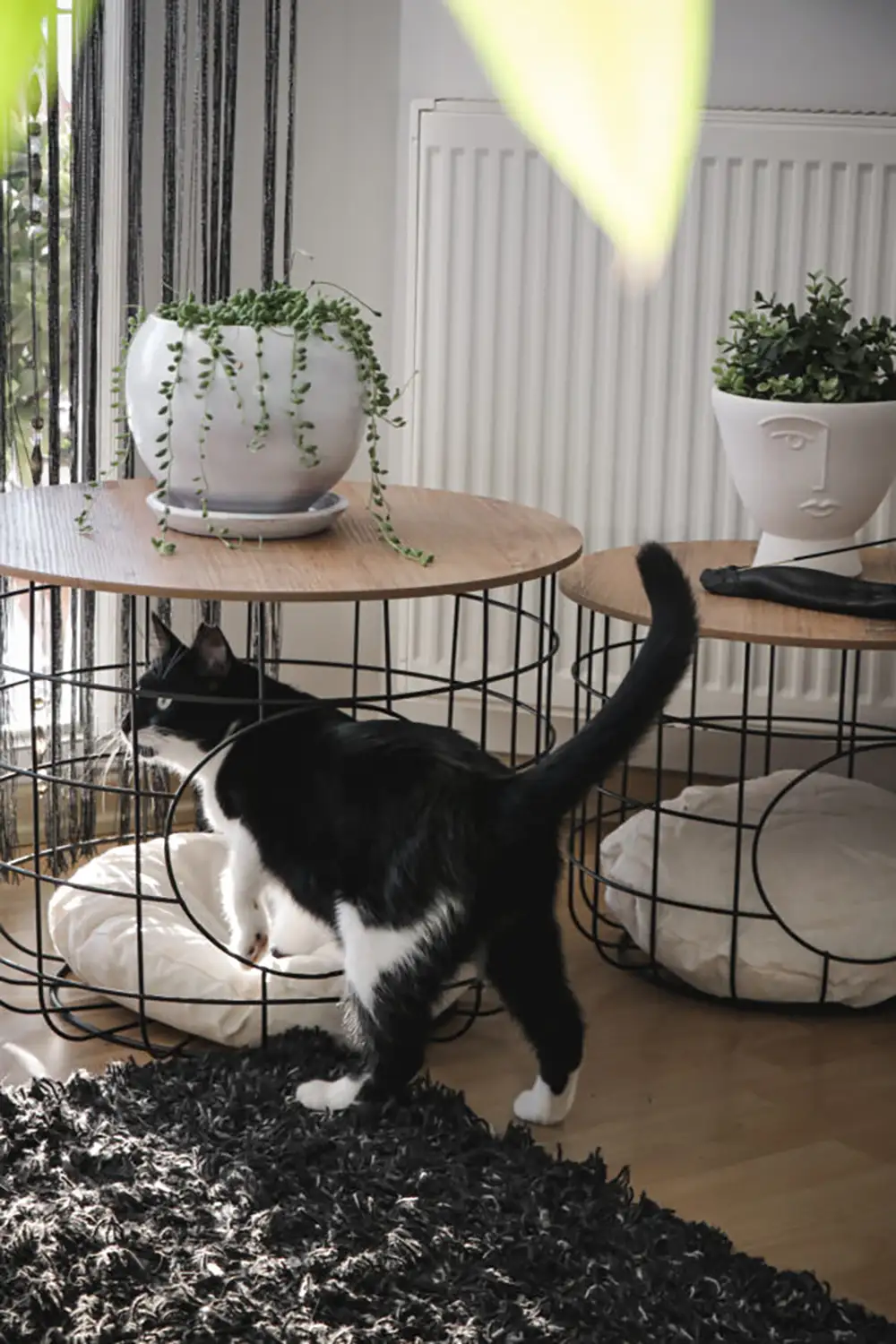 Decorative Coffee Table With Cat Nest