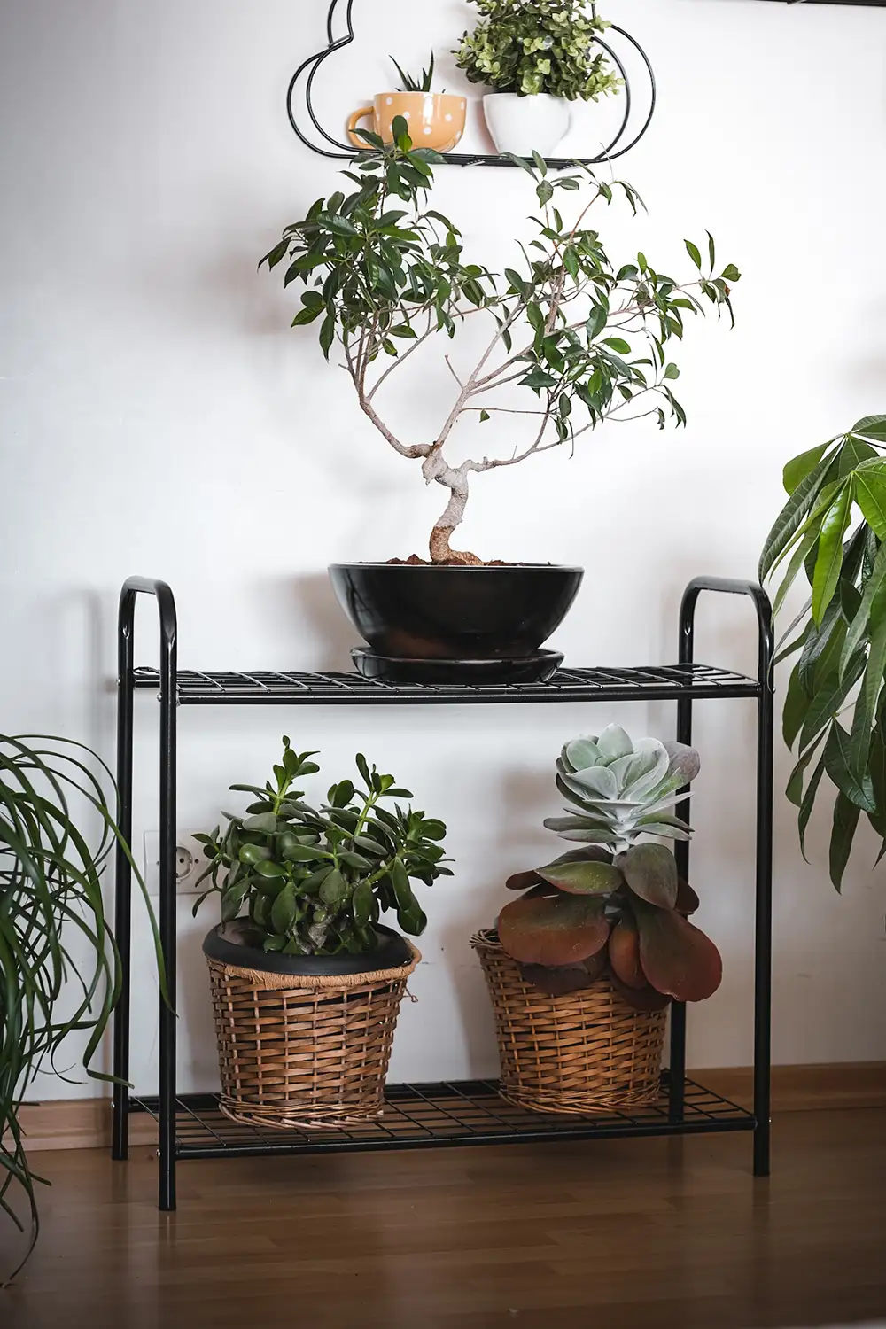 Oval Designed Metal Flower Pot Holder (2 Shelves) - Thumbnail