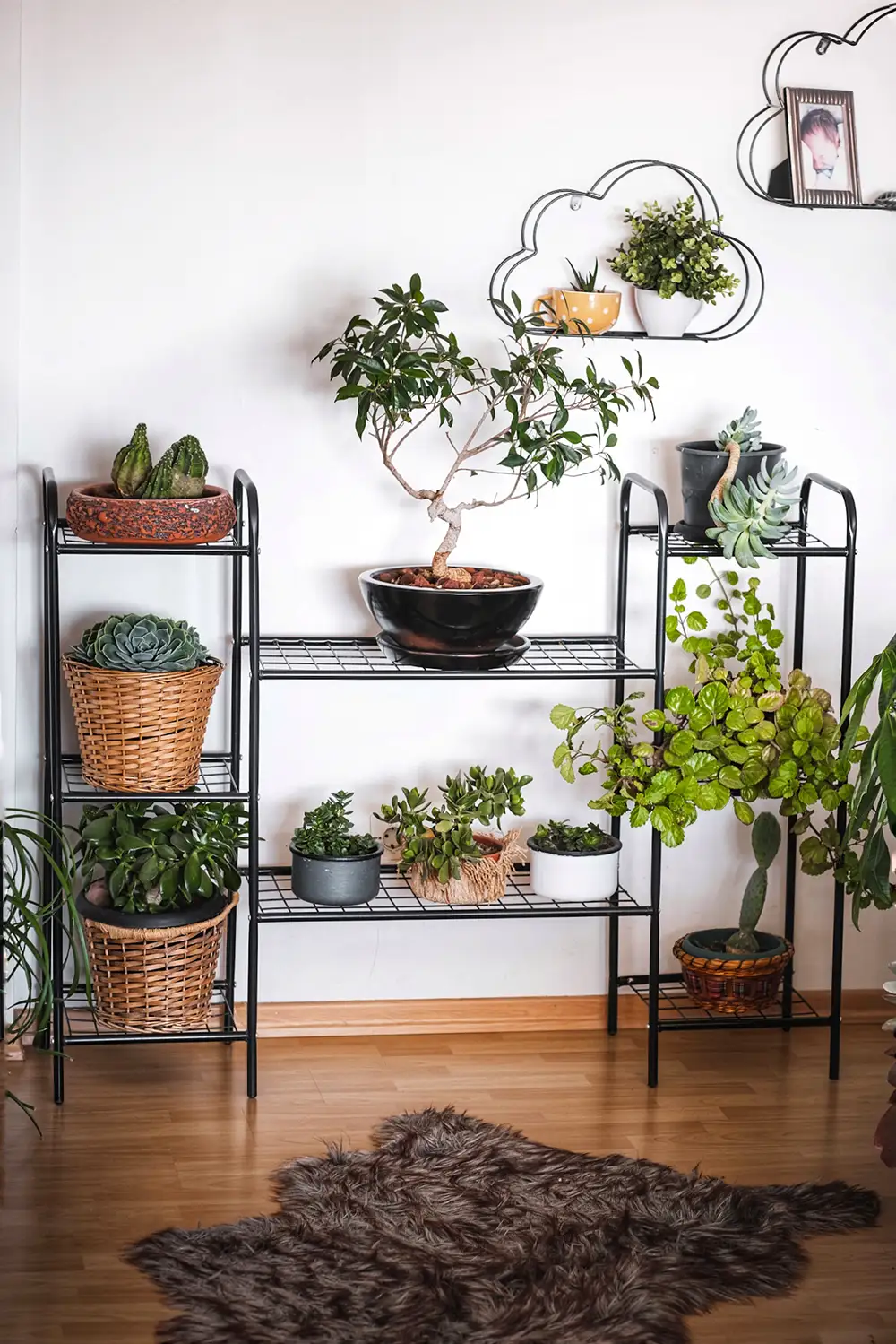 Oval Designed Metal Flower Pot Stands (8 Shelves) - Thumbnail