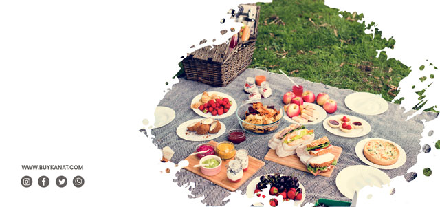 It's Time To Buy A Plastic Picnic Set!