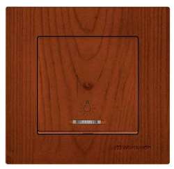 Rita Illuminated One Gang Two Way (Push Plate) White (with Screw) 220V - Thumbnail