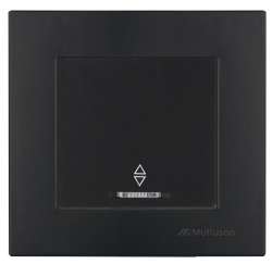 Rita Illuminated One Gang Two Way White (with Screw) 220V - Thumbnail